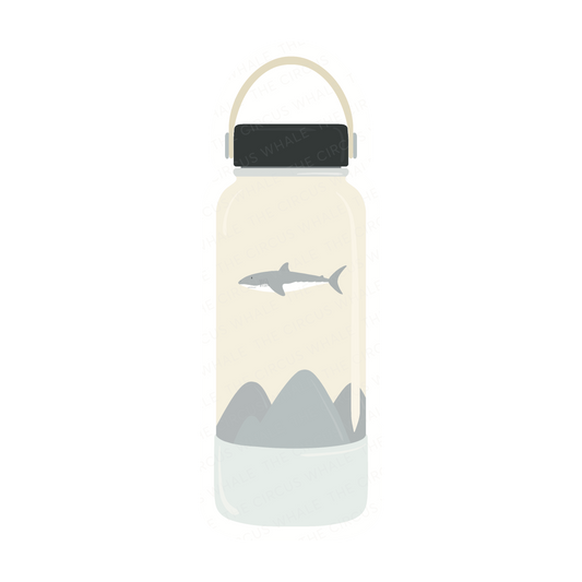 Shark Sticker