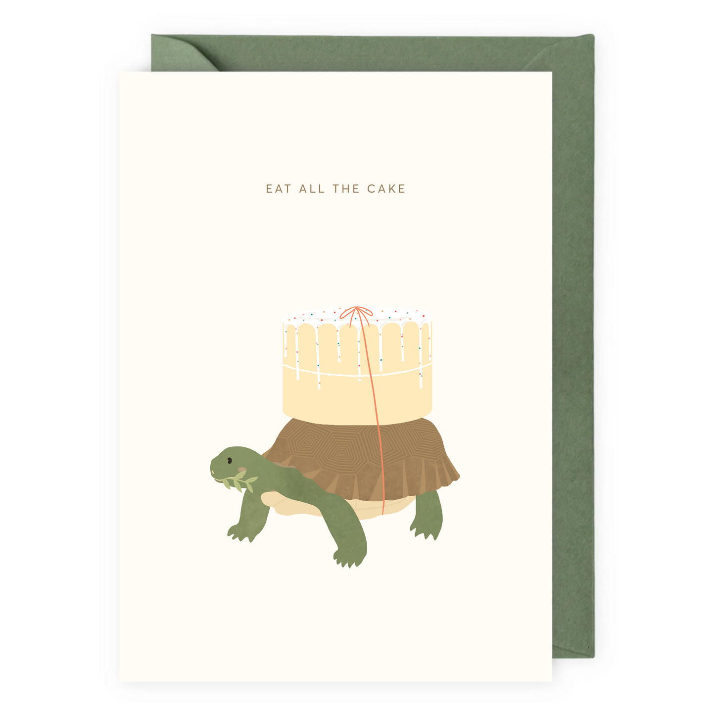 Eat All The Cake Tortoise Birthday Greeting Card